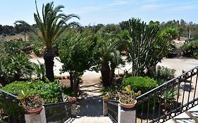 Agriturismo Il Ranch